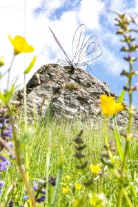 sentier artistique papillon